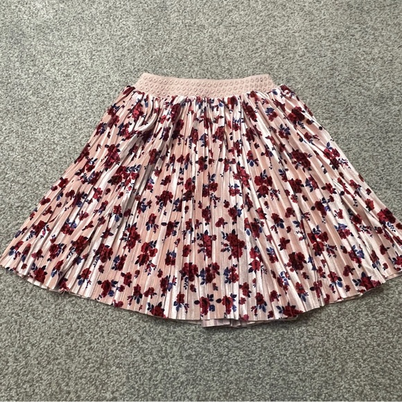 Pippa & Julie Light Pink Velvet Pleated Floral Skirt with Red & Blue Accents - Picture 2 of 7